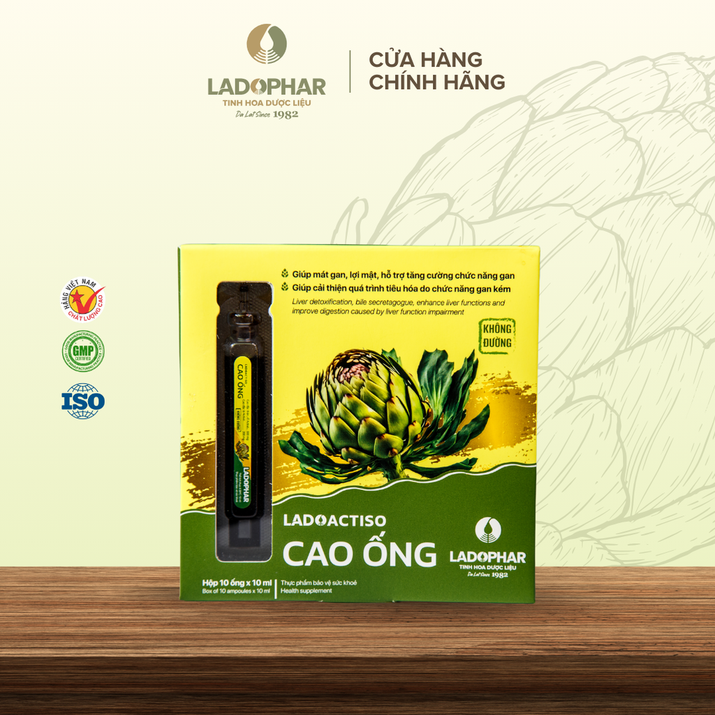 Cao ống atiso