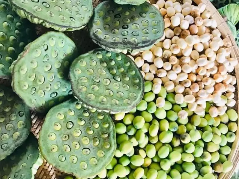 https___nguyengia.org_product_bot-hat-sen-nguyen-chat-500g-de-ngu-bo-duong-tot-cho-suc-khoe__2